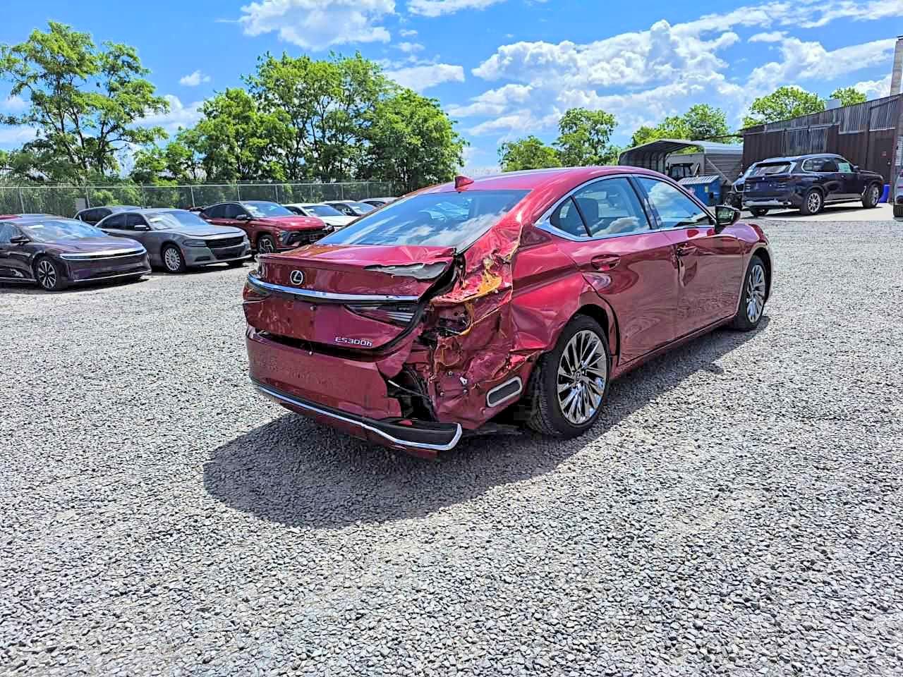 Lexus Es Luxury