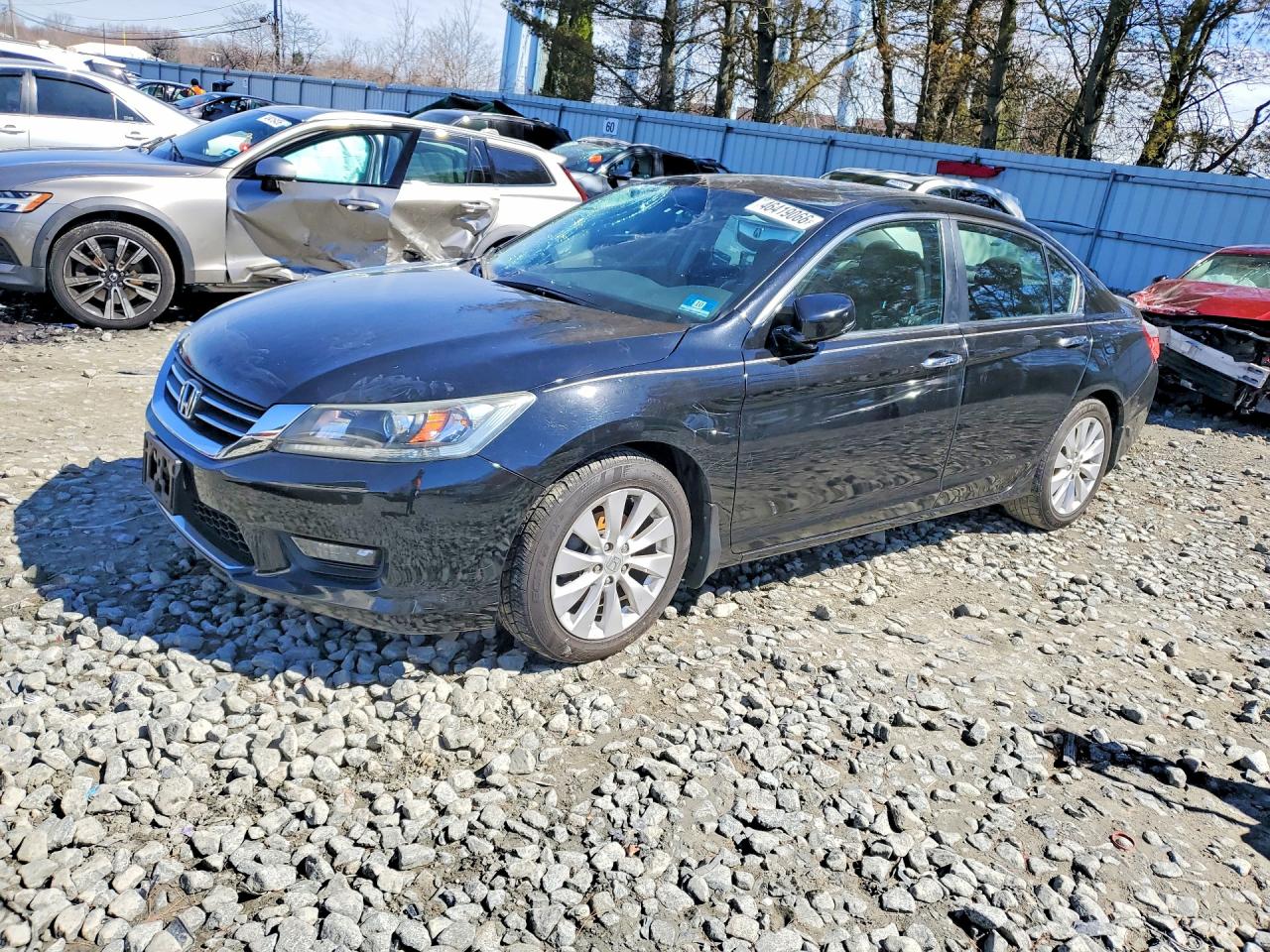 Salvage Honda Accord Image