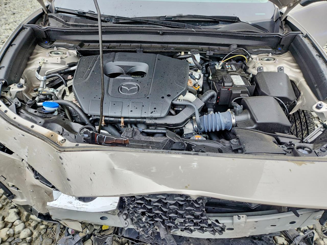 Mazda Cx Select