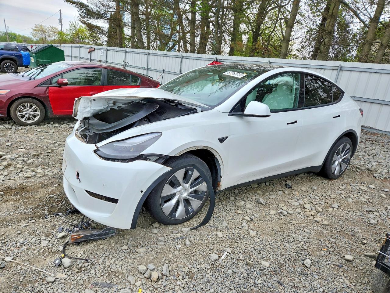 Salvage Tesla Model Y Image