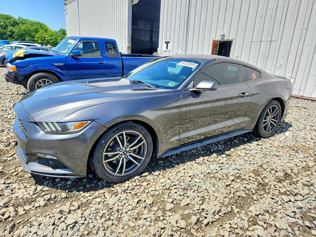 Salvage Ford Mustang Image