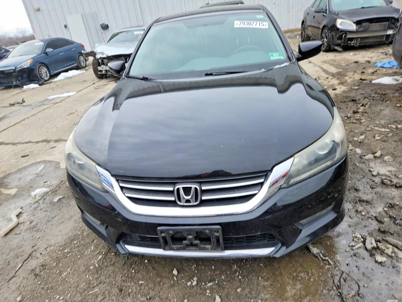 Honda Accord Sport