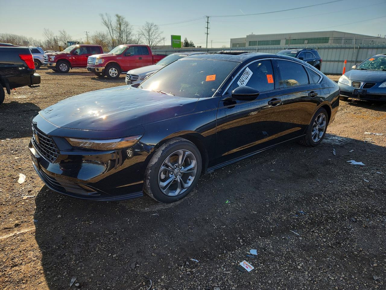 Salvage Honda Accord Image