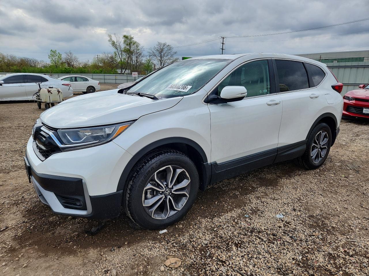 Salvage Honda Crv Image
