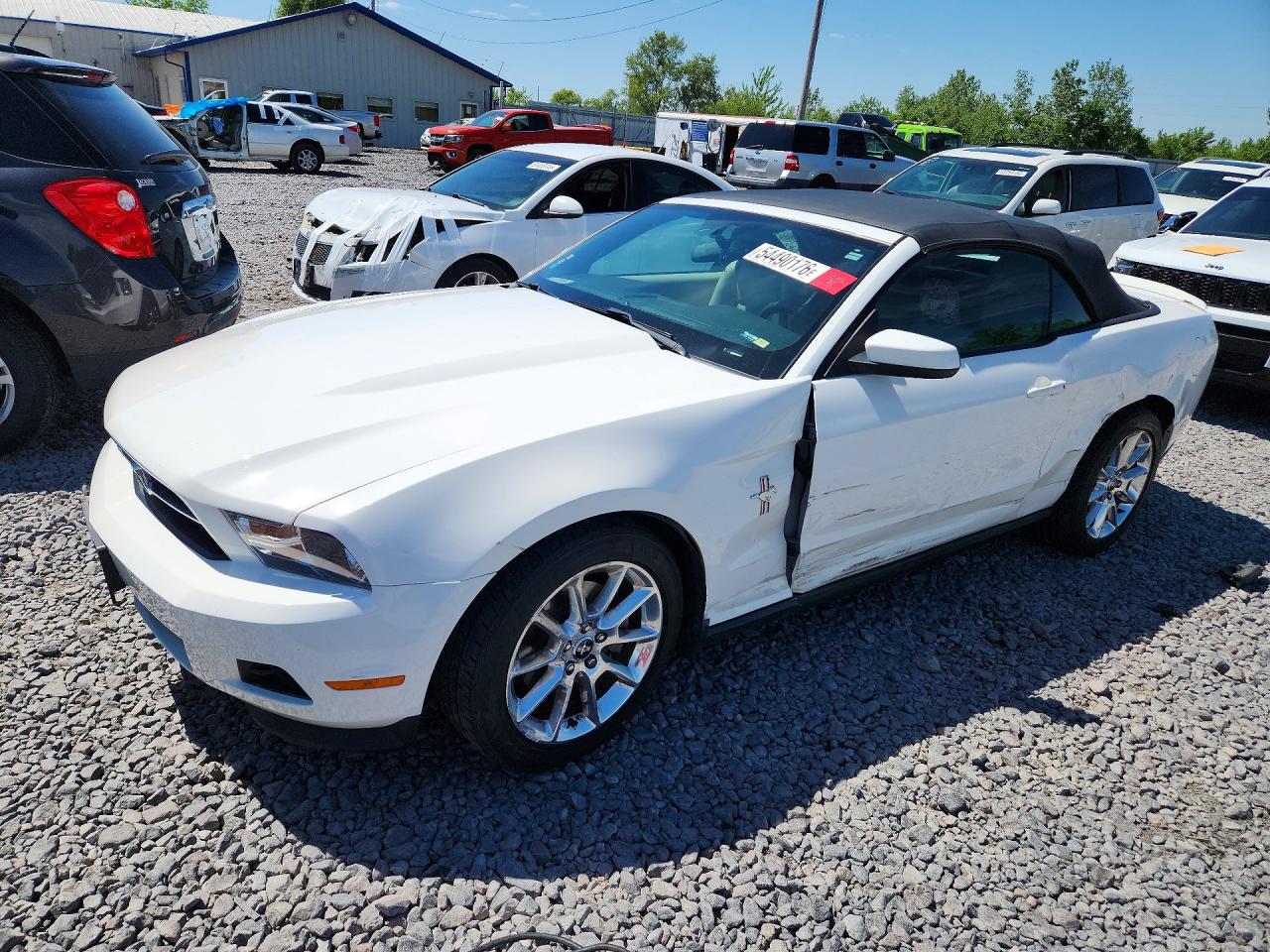 Salvage Ford Mustang Image