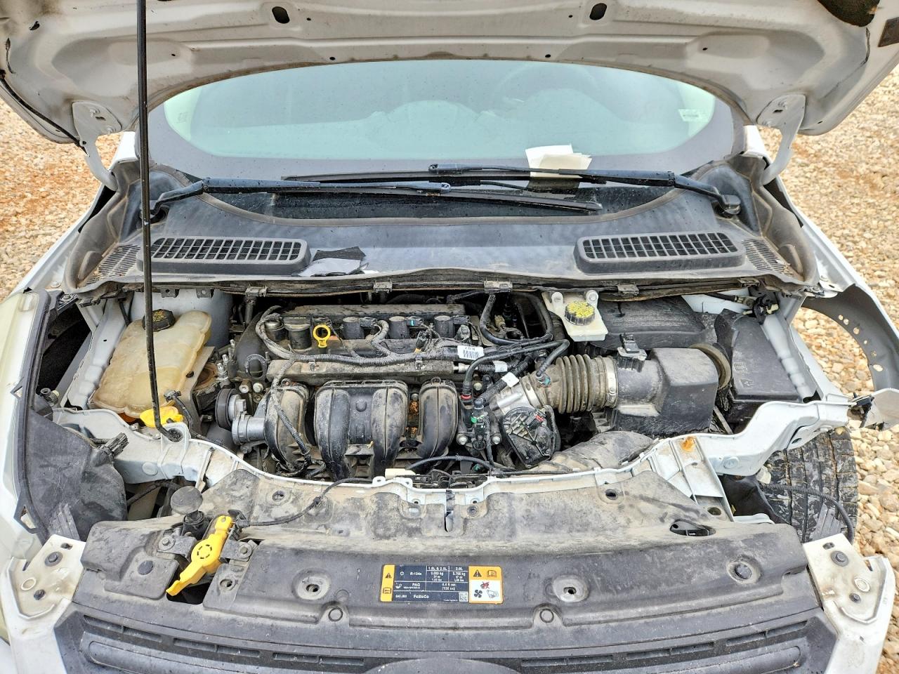 Ford Escape S