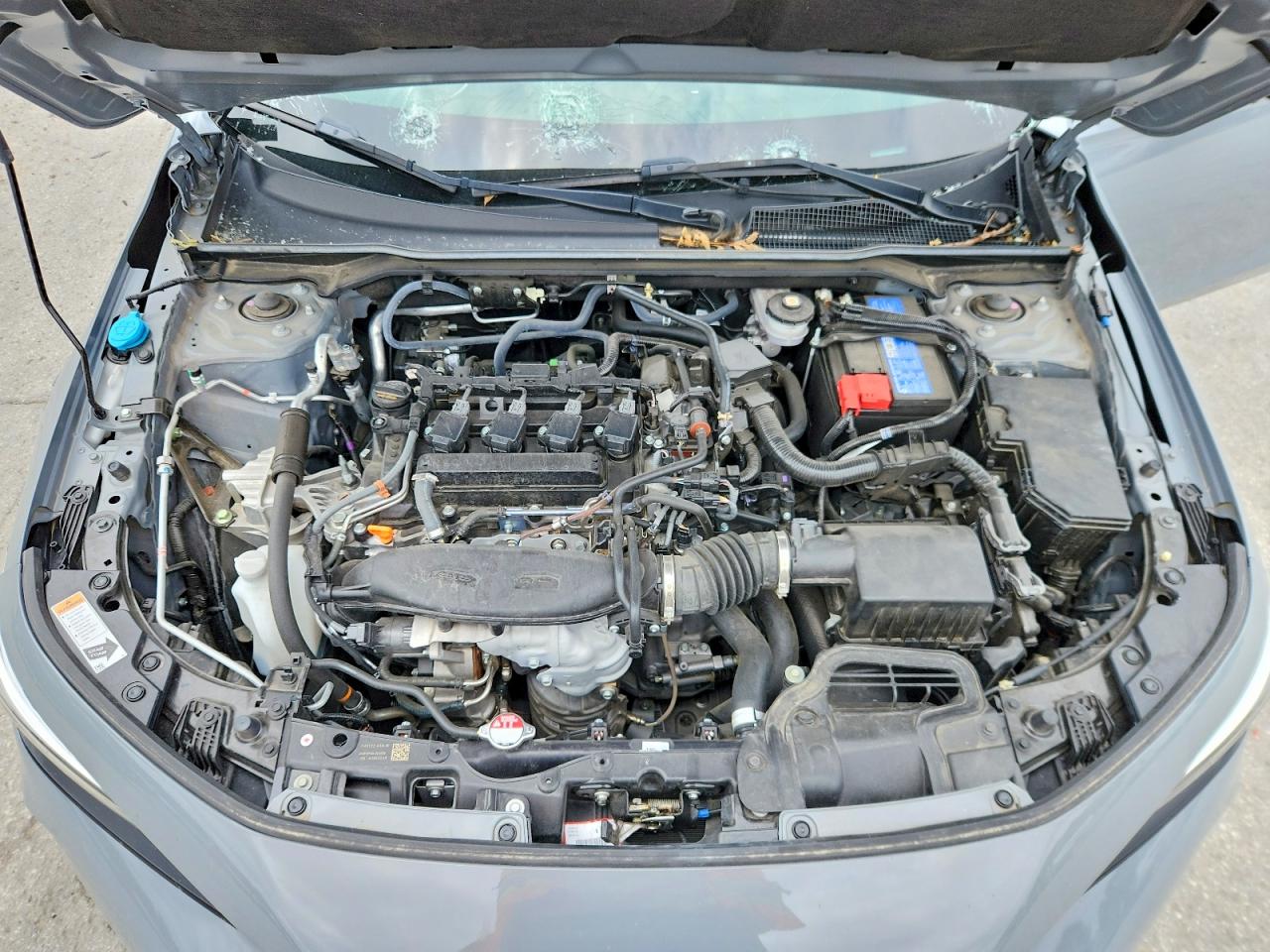 Honda Civic Si