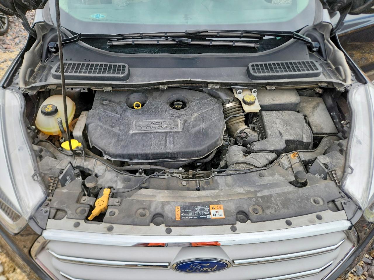Ford Escape