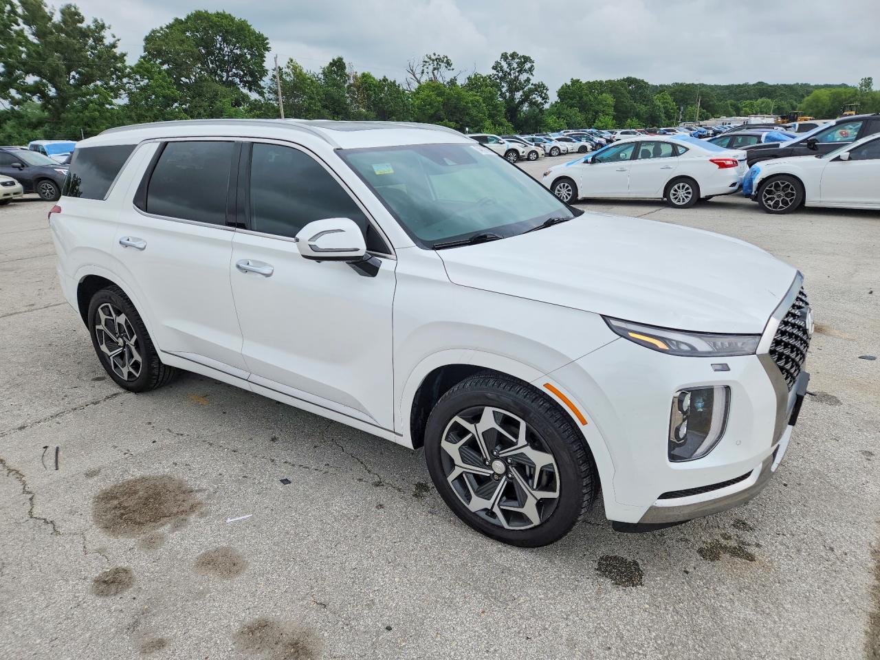 Hyundai PALISADE Calligraphy