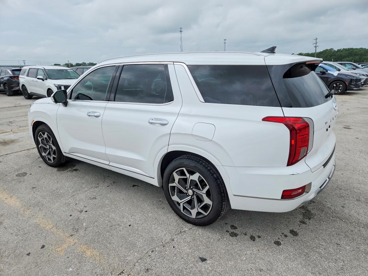 Hyundai PALISADE Calligraphy