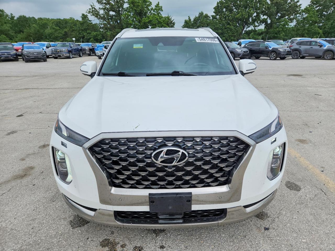 Hyundai PALISADE Calligraphy