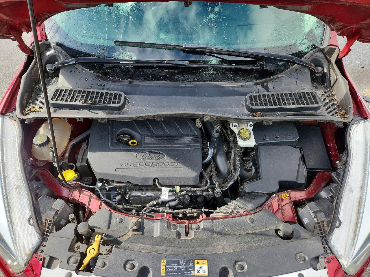 Ford Escape Sel