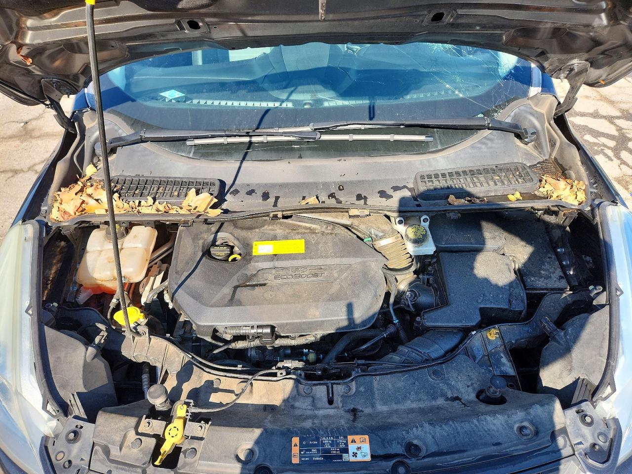 Ford Escape Se