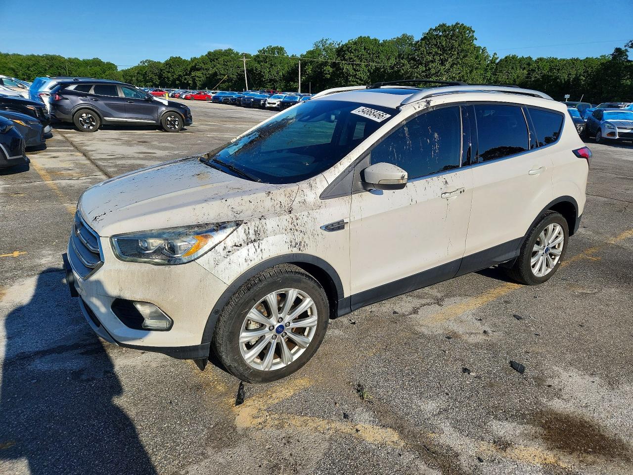 Salvage Ford Escape Image