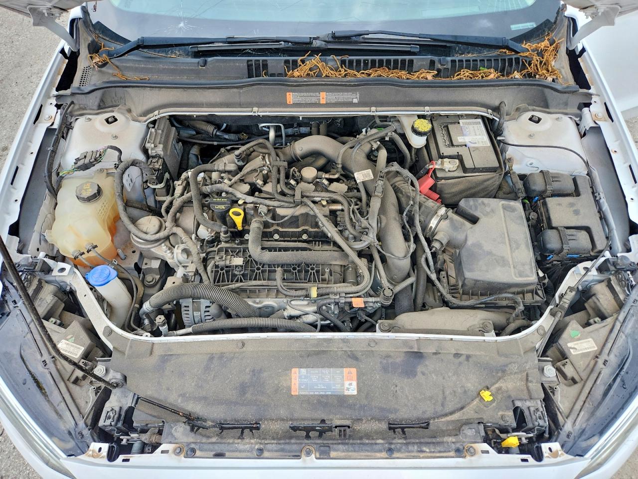 Ford Fusion Sel
