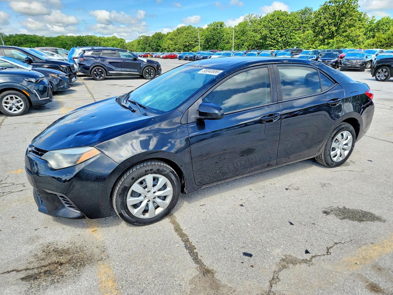 Salvage Toyota Corolla Image