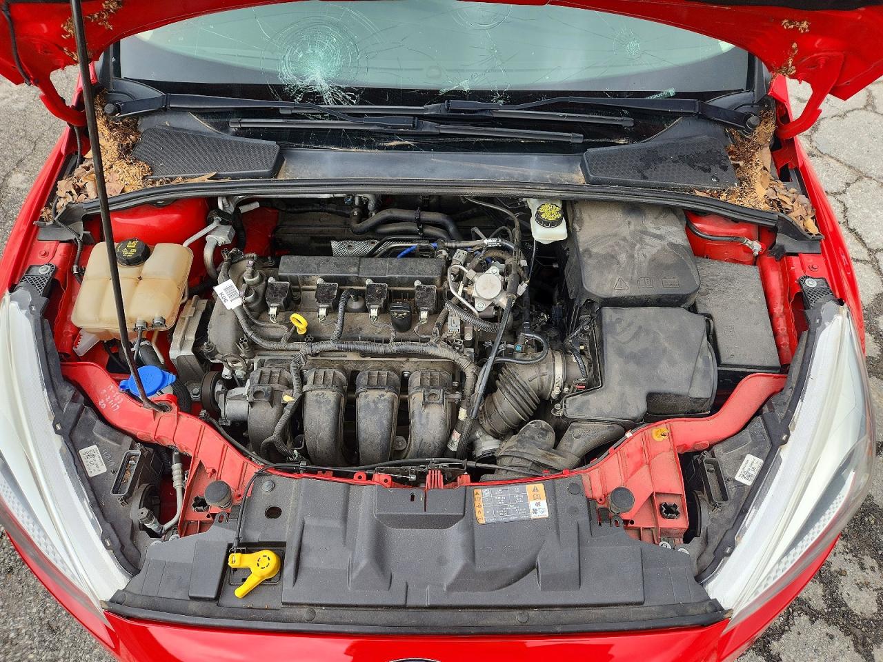 Ford Focus Se