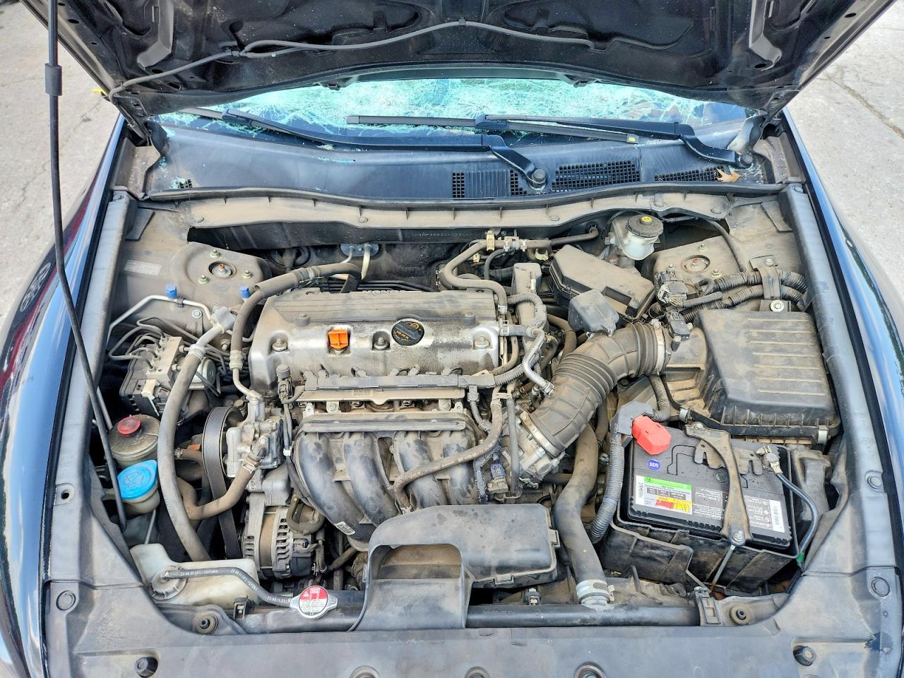 Honda Accord Se