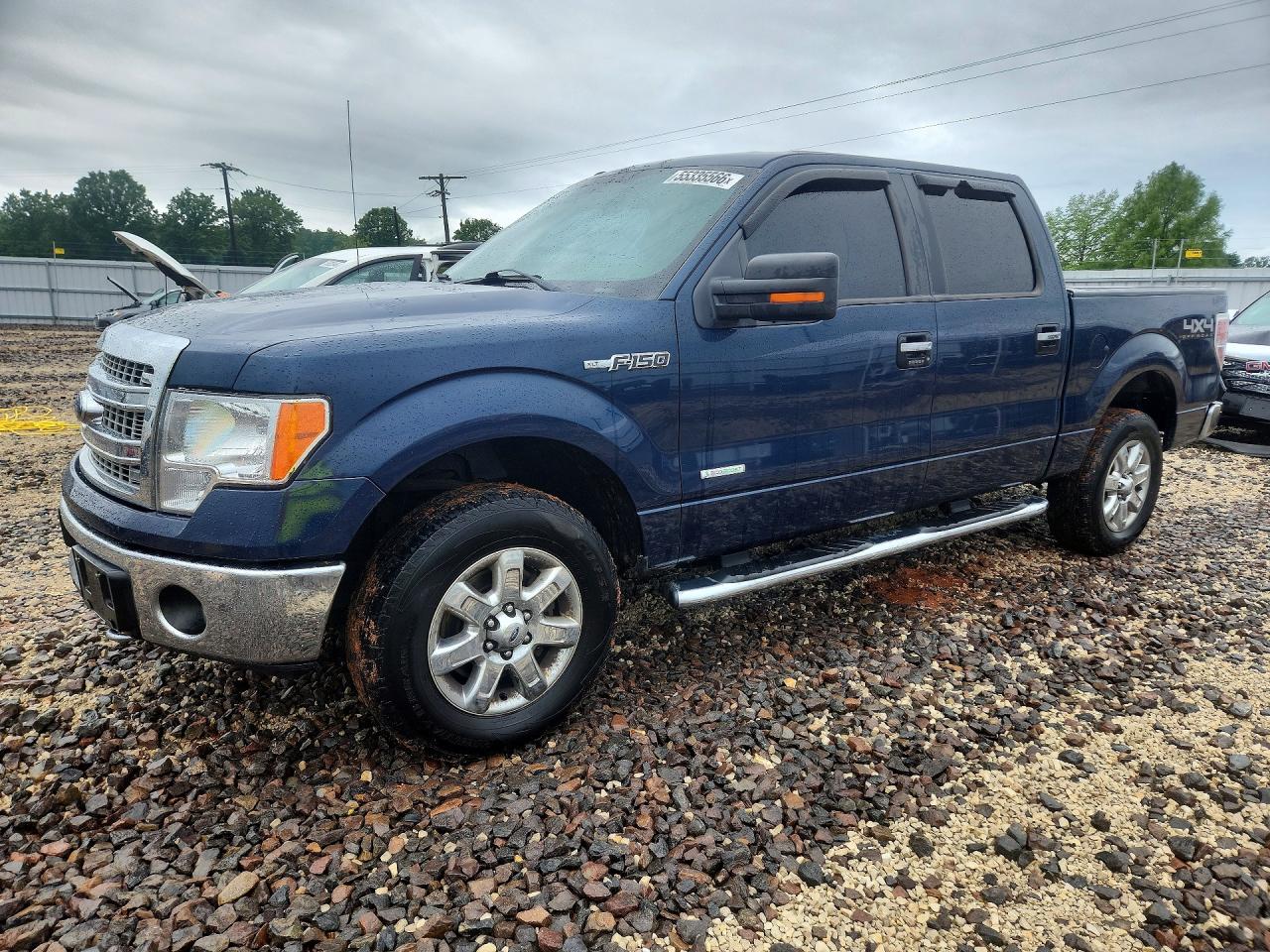 Salvage Ford F-150 Image