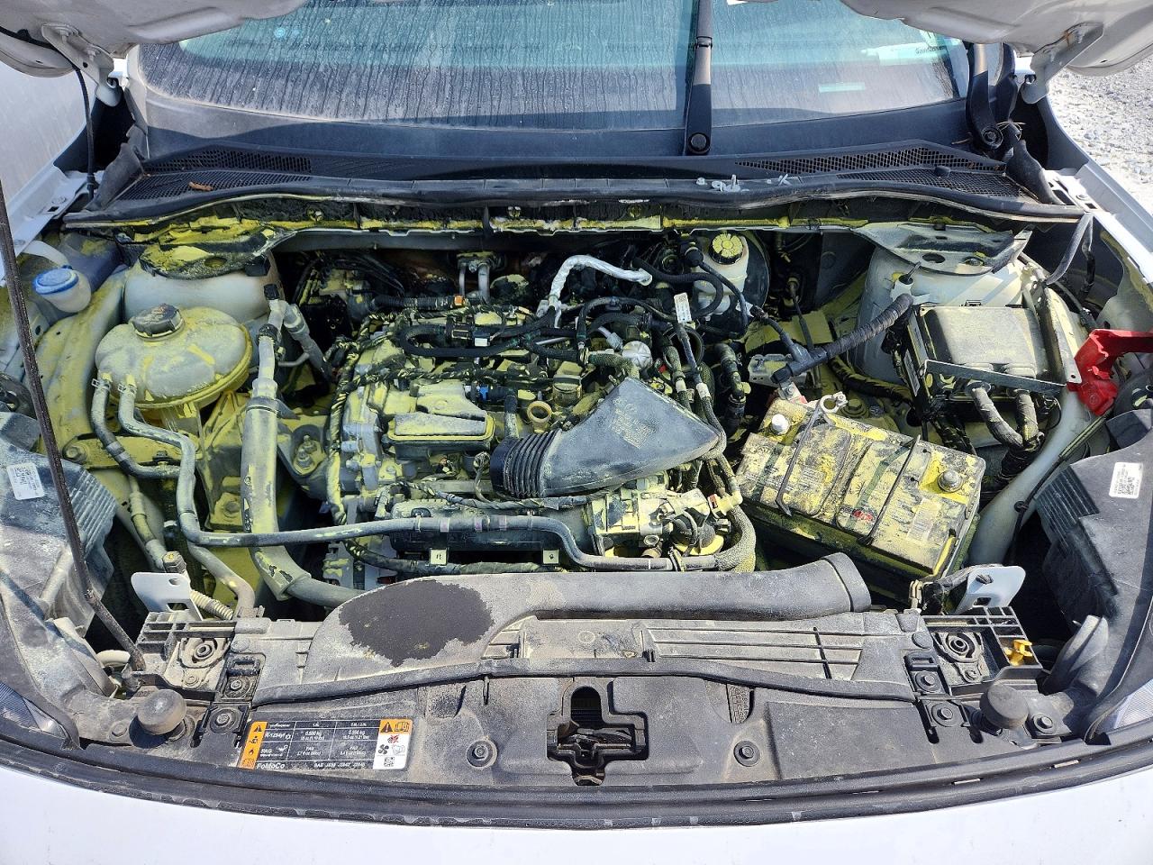 Ford Escape S