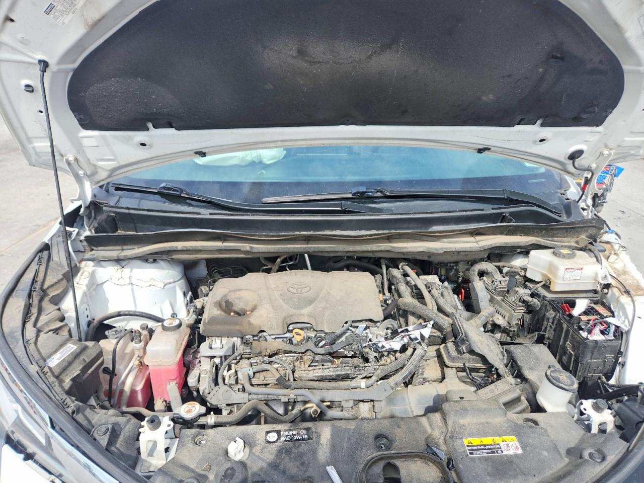 Toyota Sienna Xle 8-passenger