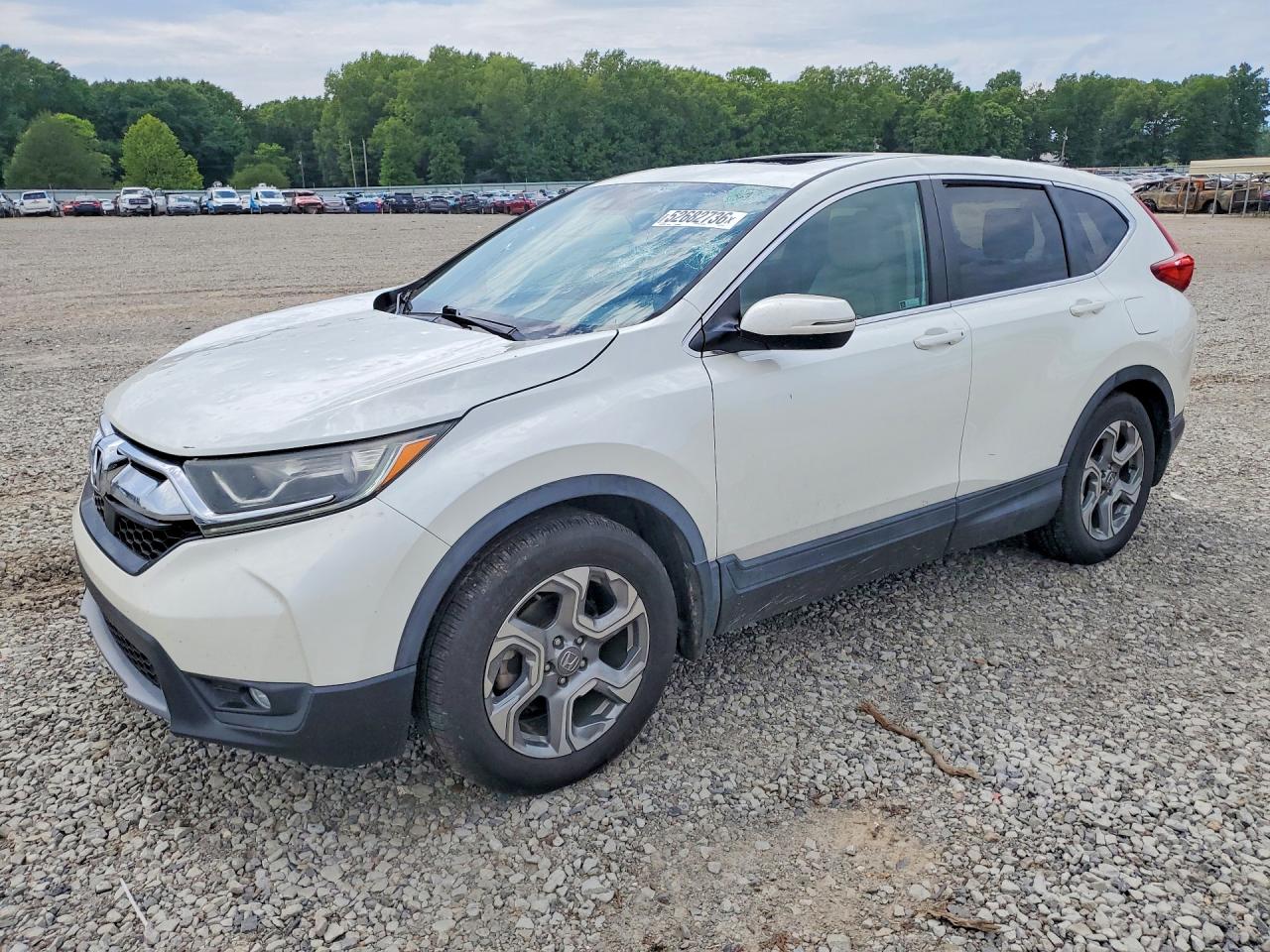 Salvage Honda Crv Image