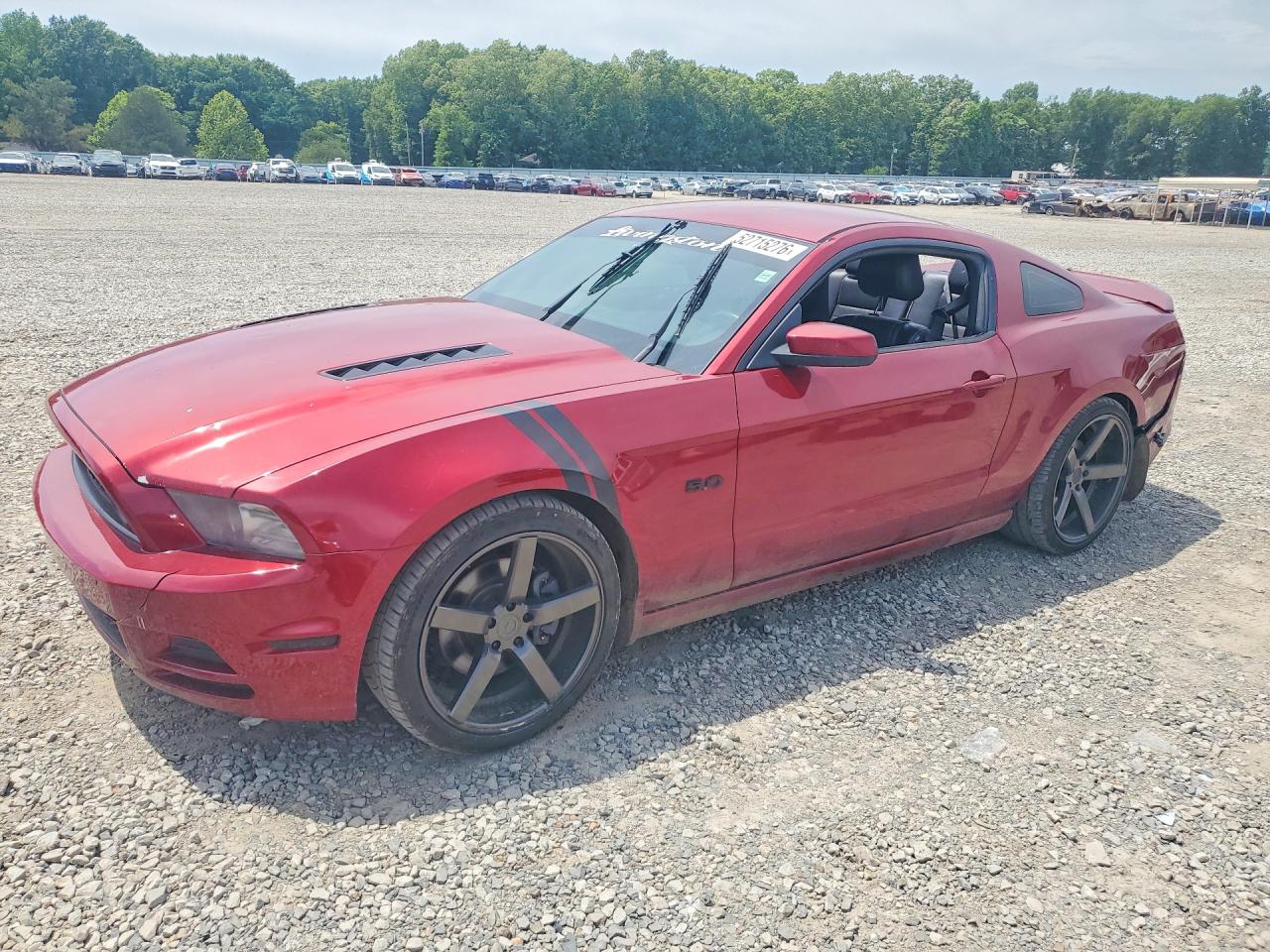 Salvage Ford Mustang Image