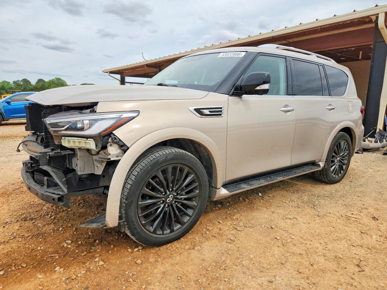 Salvage INFINITI Qx Image
