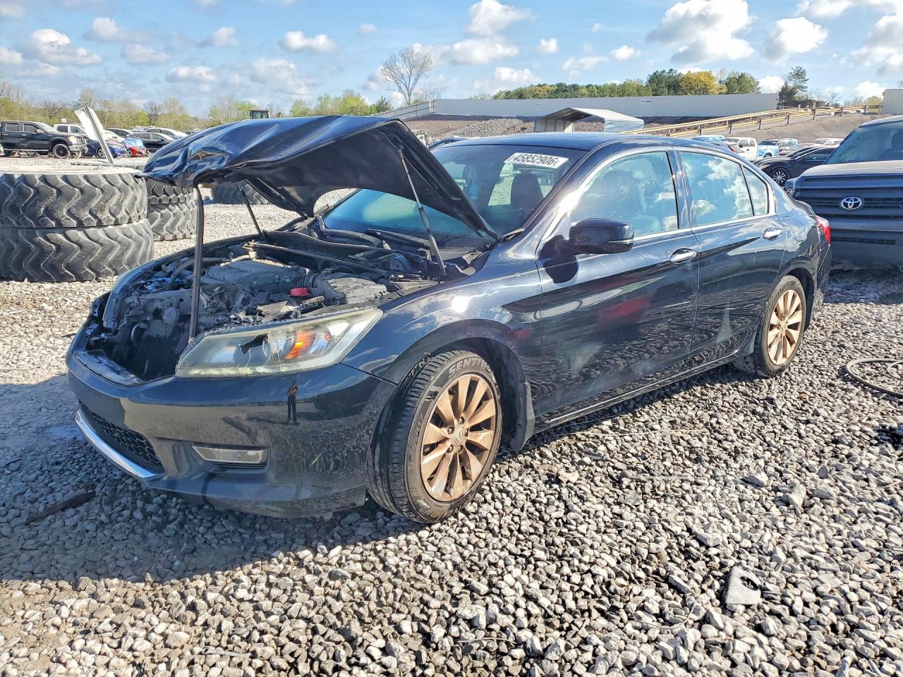Salvage Honda Accord Image