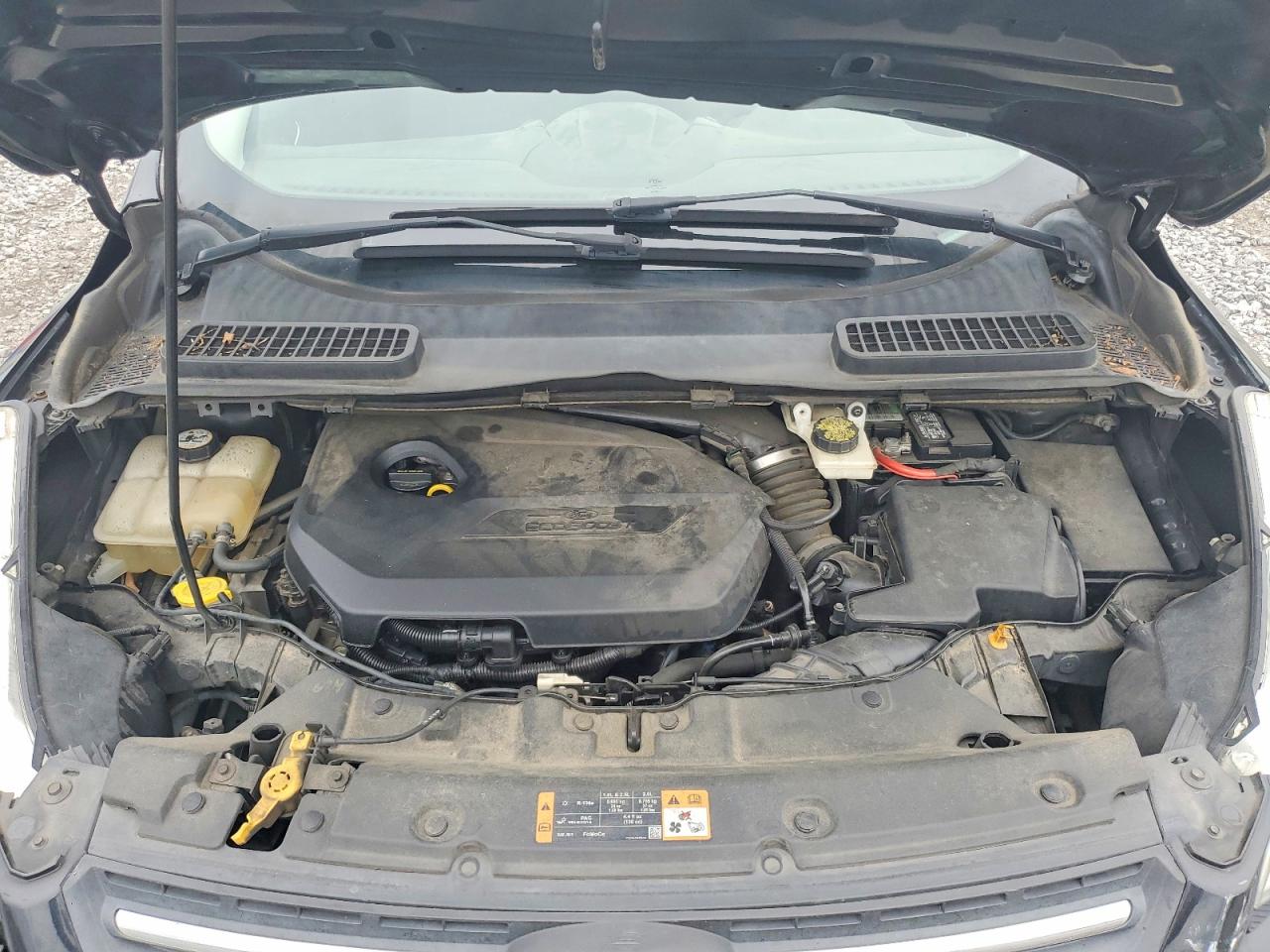 Ford Escape Se