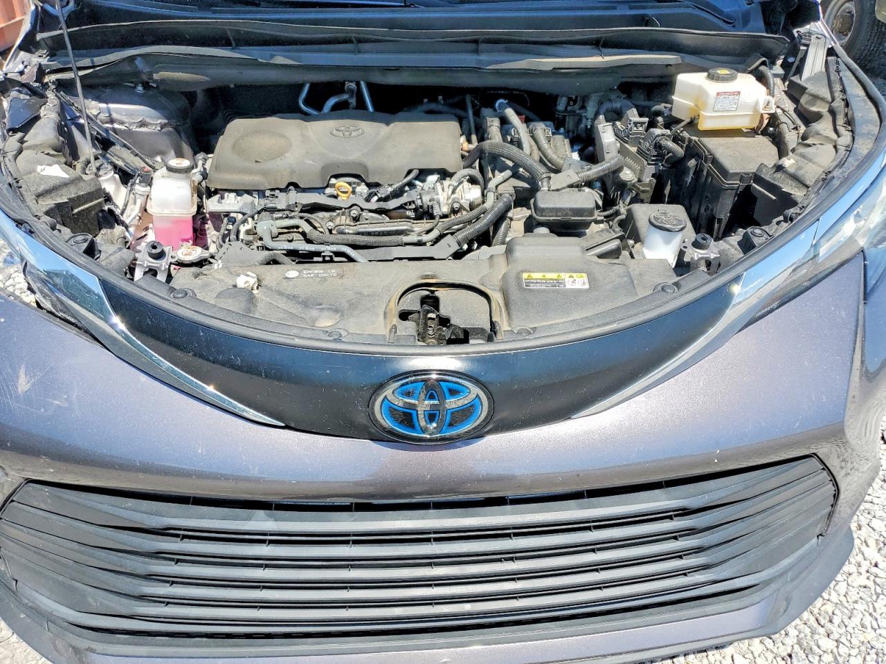 Toyota Sienna Le