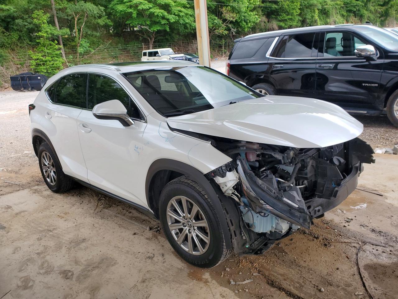 Lexus NX 300