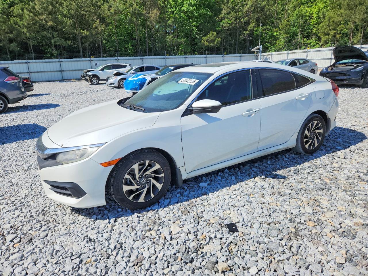 Salvage Honda Civic Image