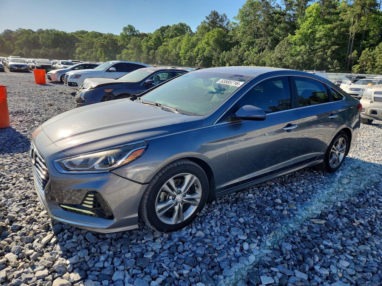 Salvage Hyundai SONATA Image