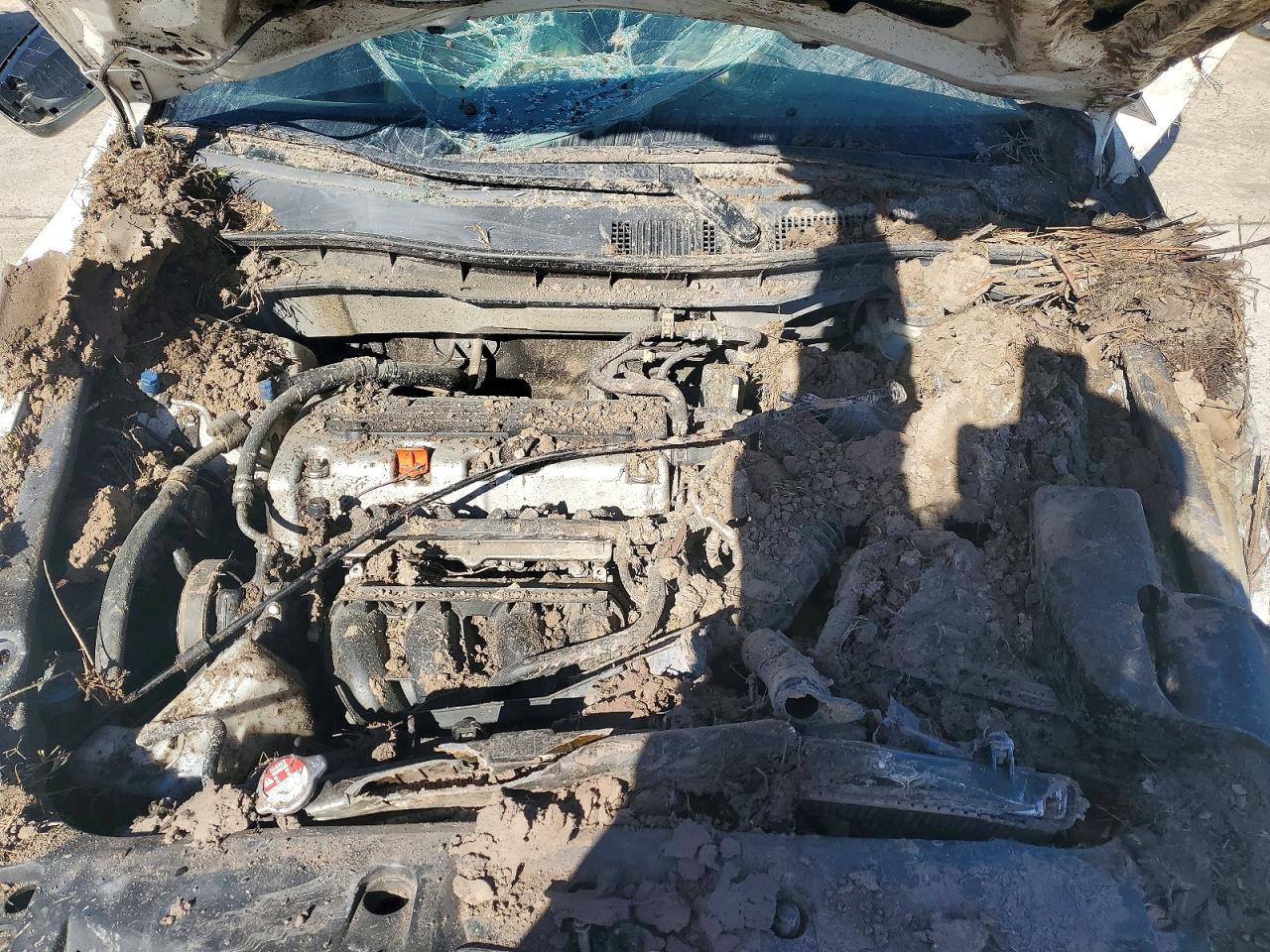 Honda Accord Se