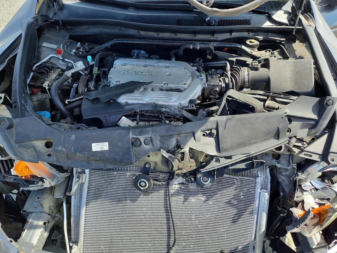 Honda Accord Exl