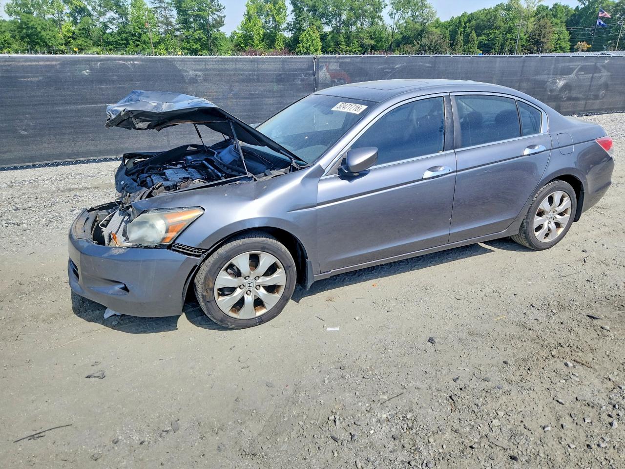 Salvage Honda Accord Image