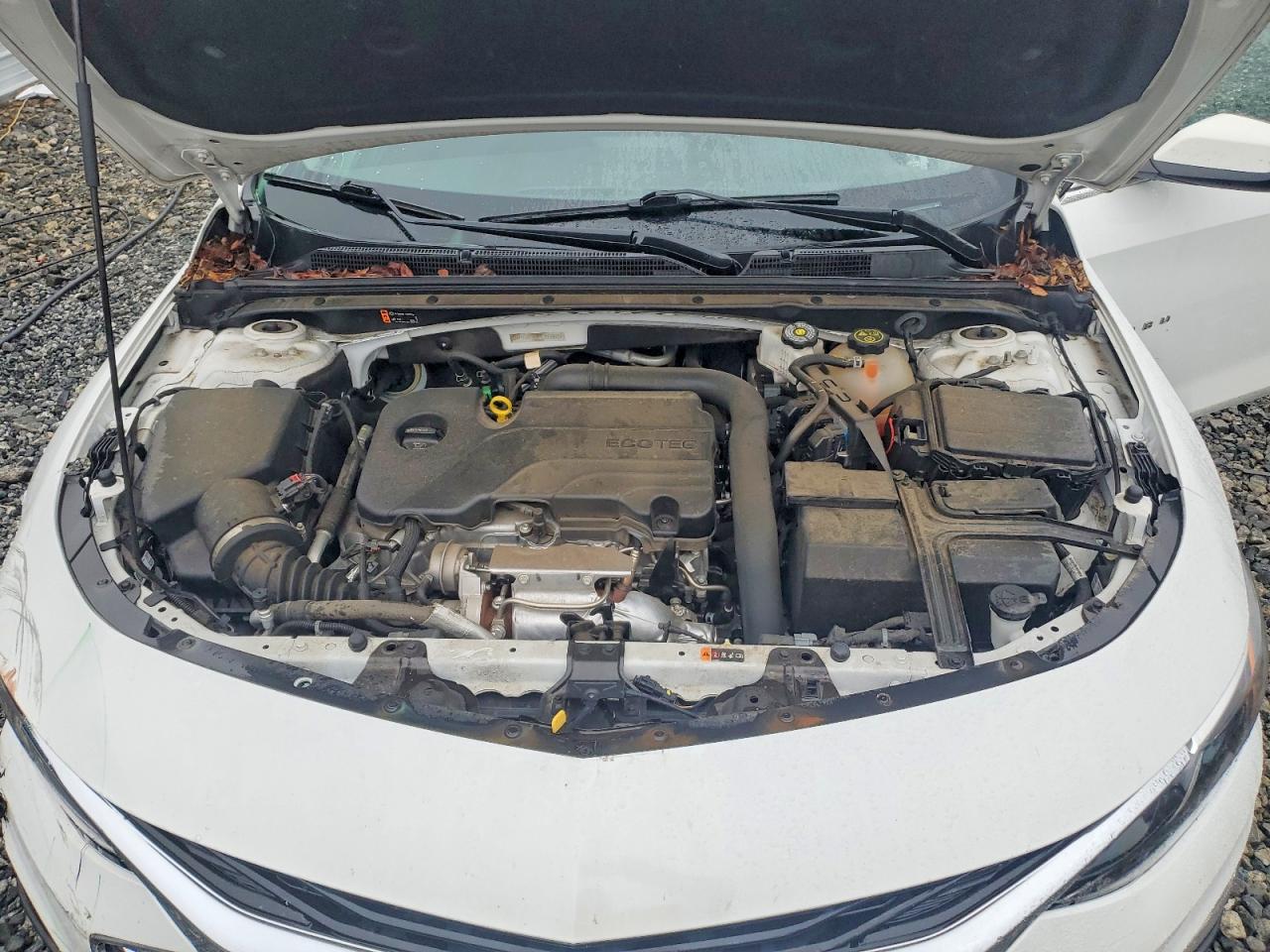 Chevrolet Malibu Ls