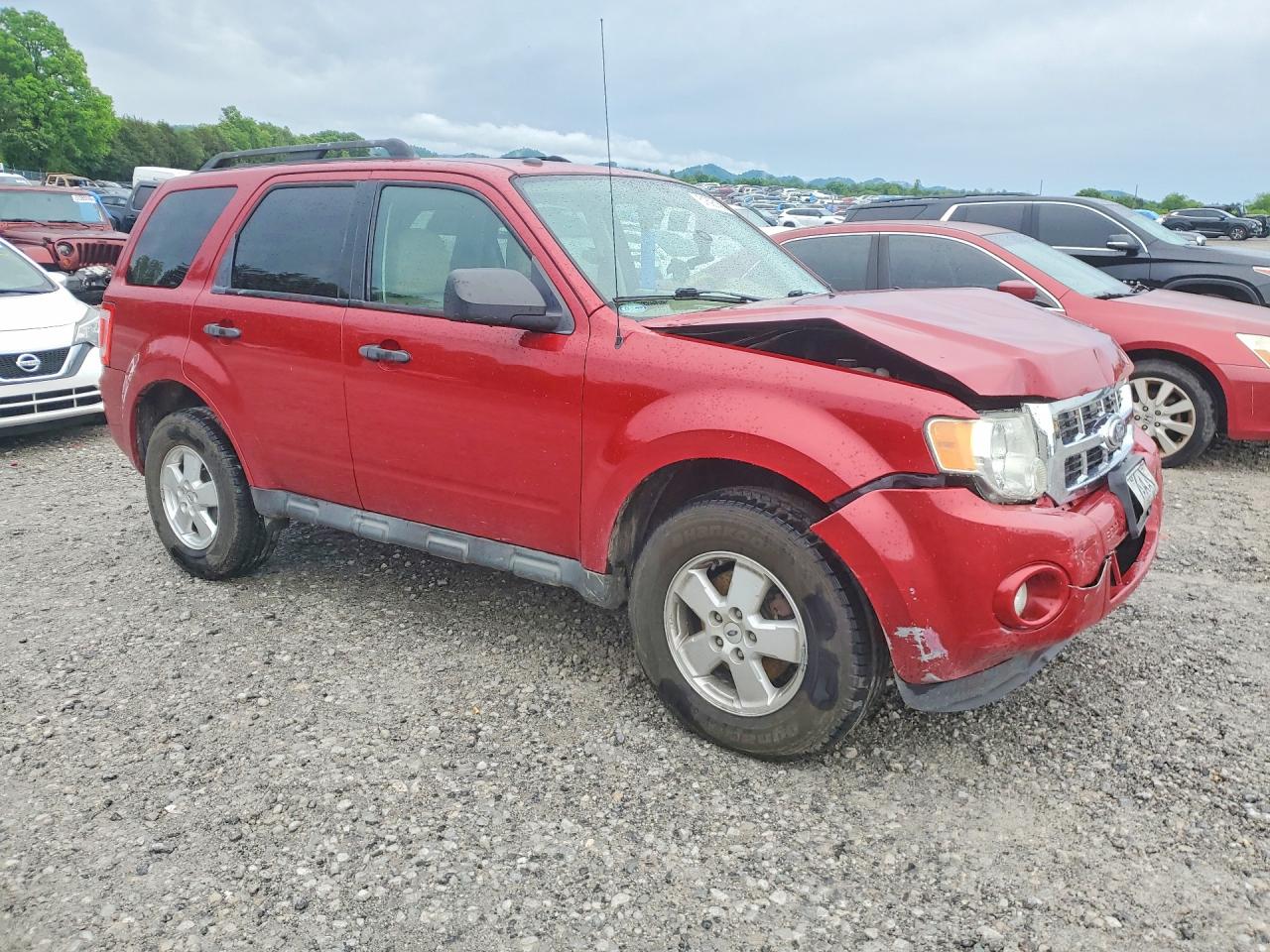 Ford Escape Xlt