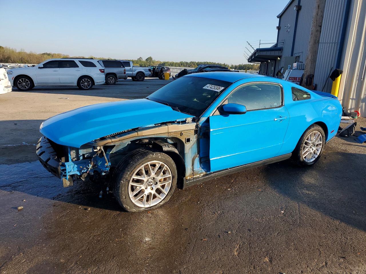 Salvage Ford Mustang Image