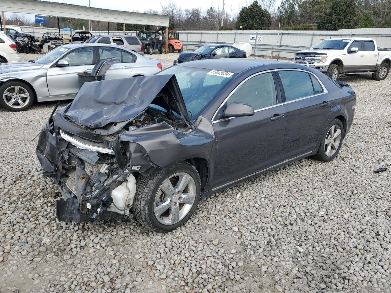 Salvage Chevrolet Malibu Image