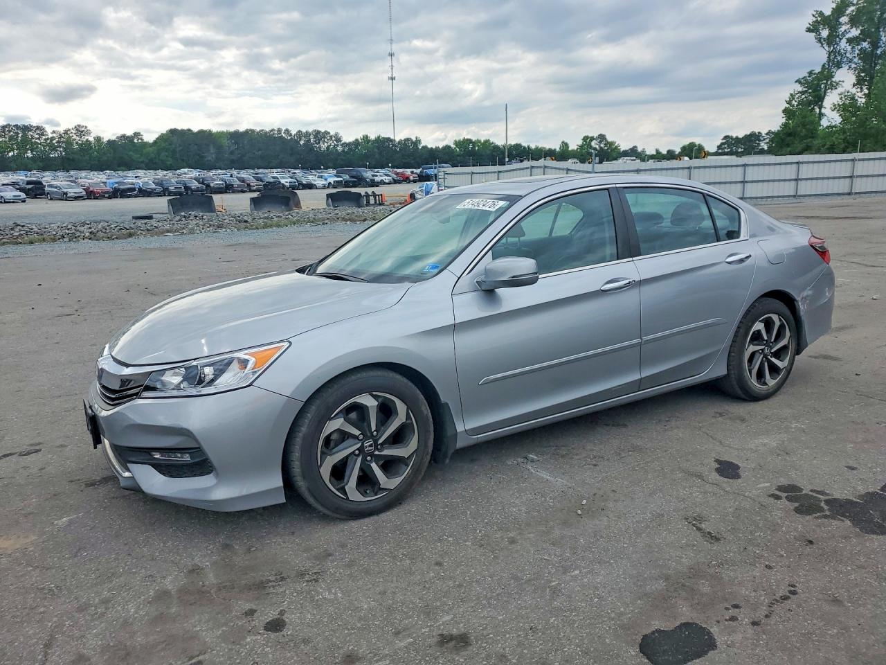 Salvage Honda Accord Image