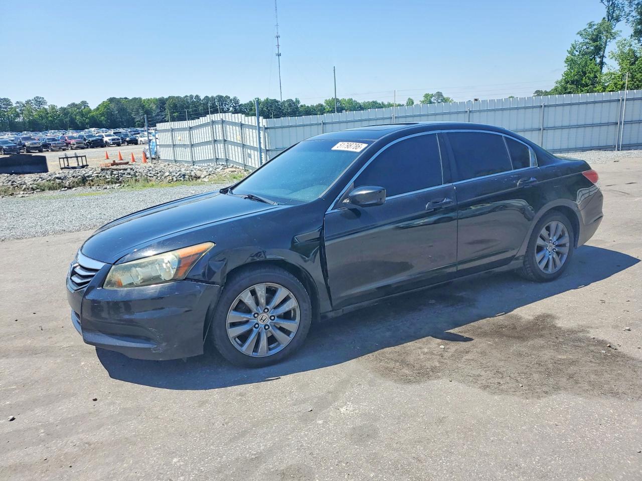 Salvage Honda Accord Image