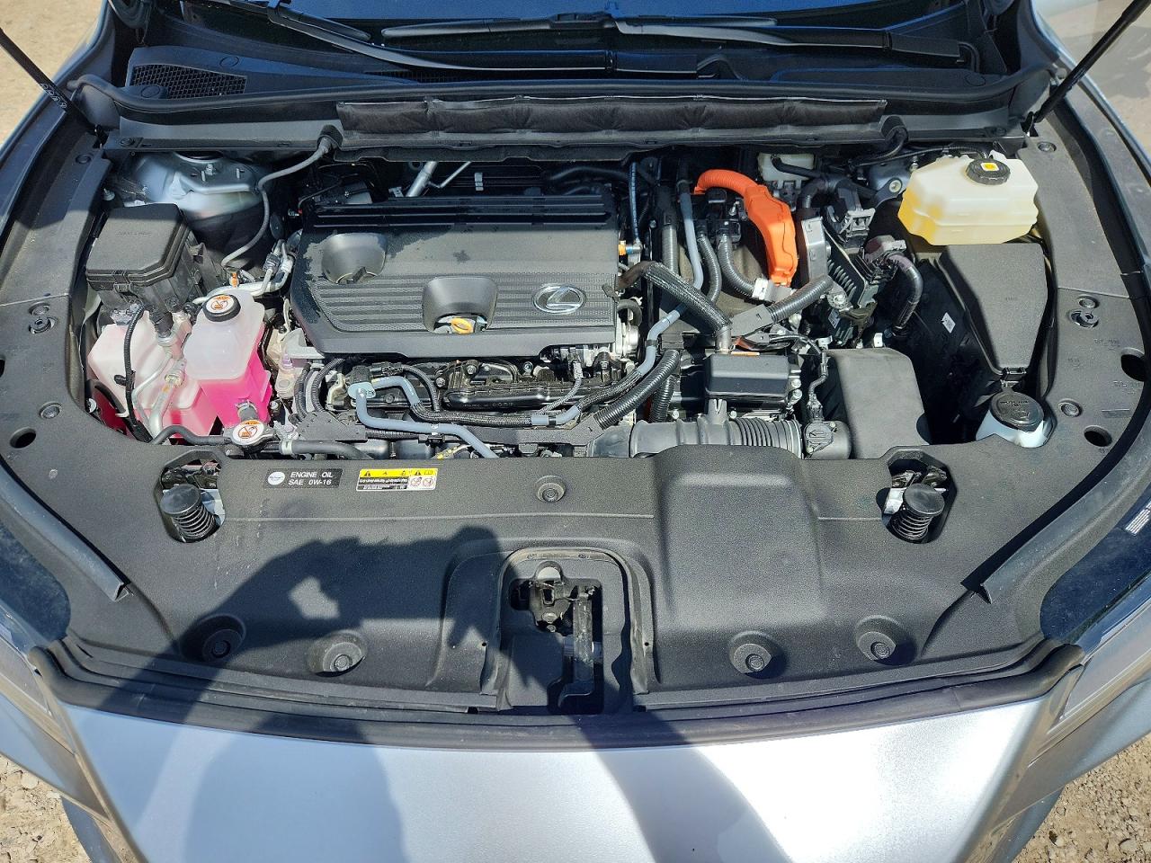 Lexus Other Luxury