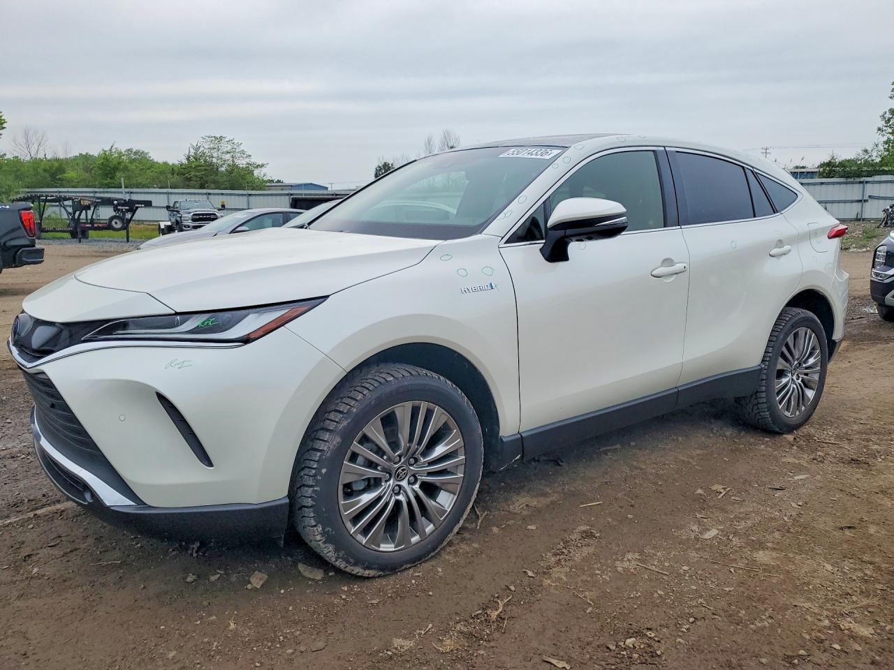 Salvage Toyota Venza Image