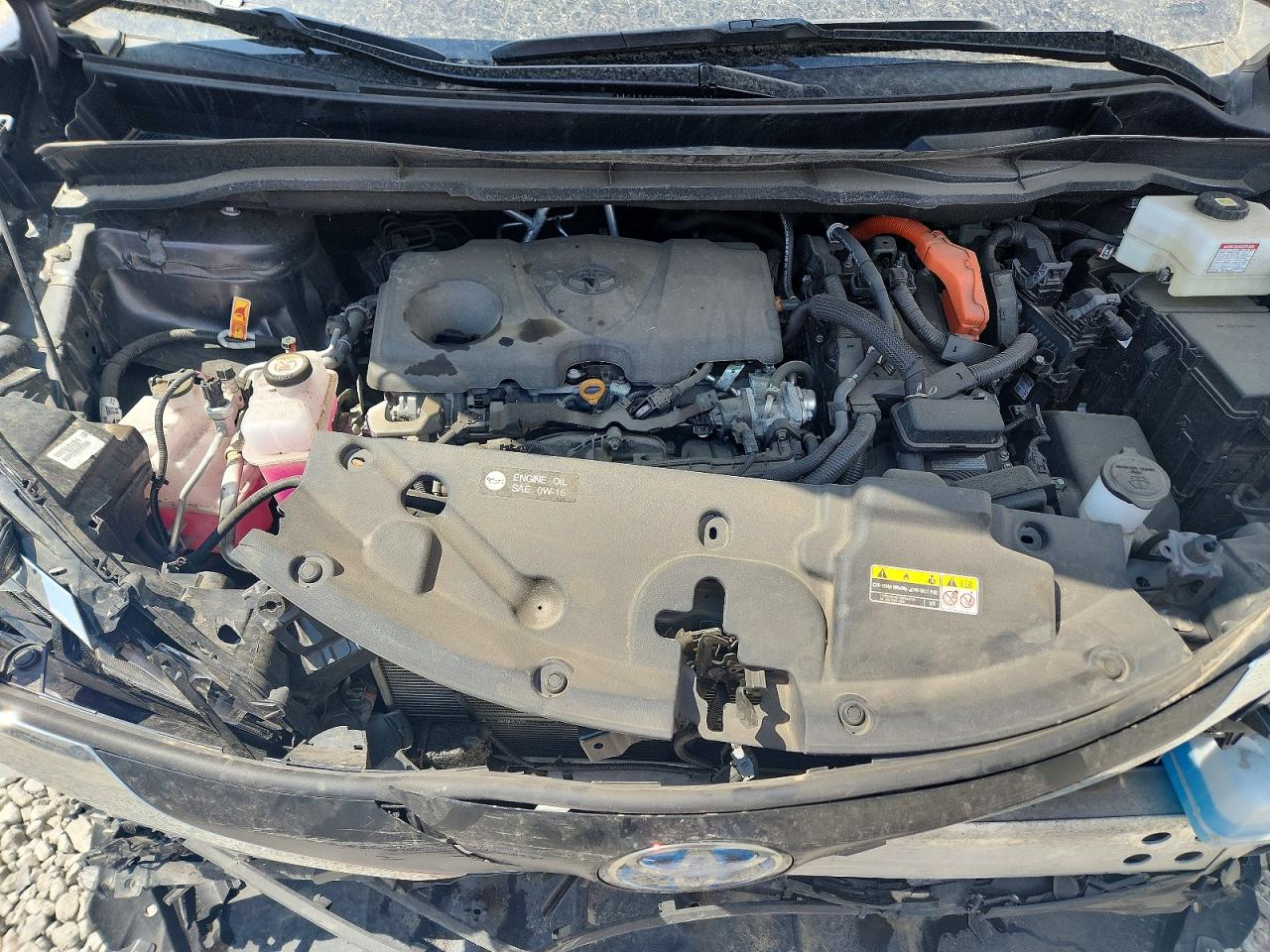 Toyota Sienna Xle 7-passenger