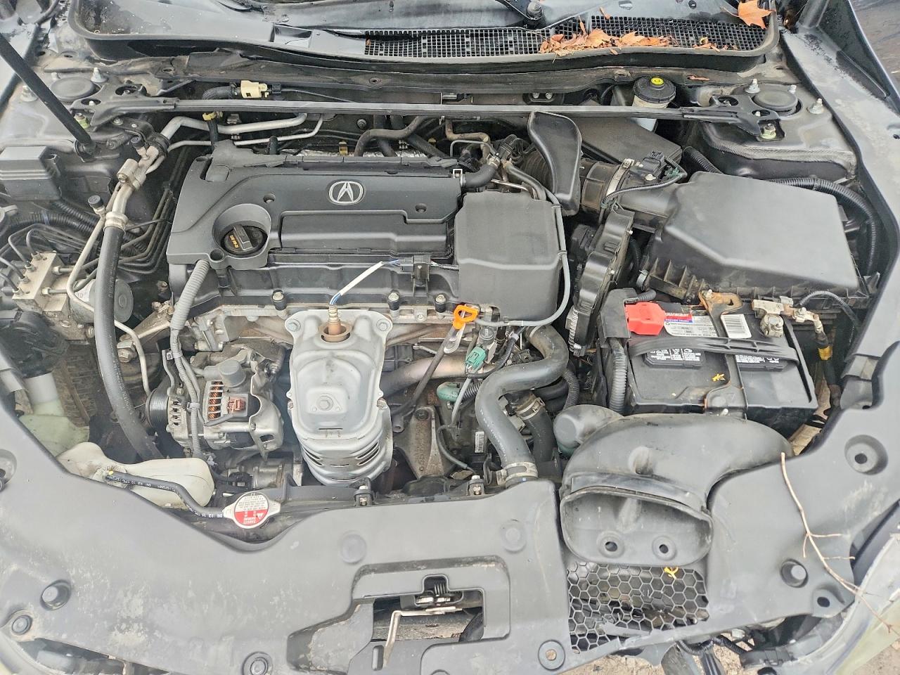 Acura TLX