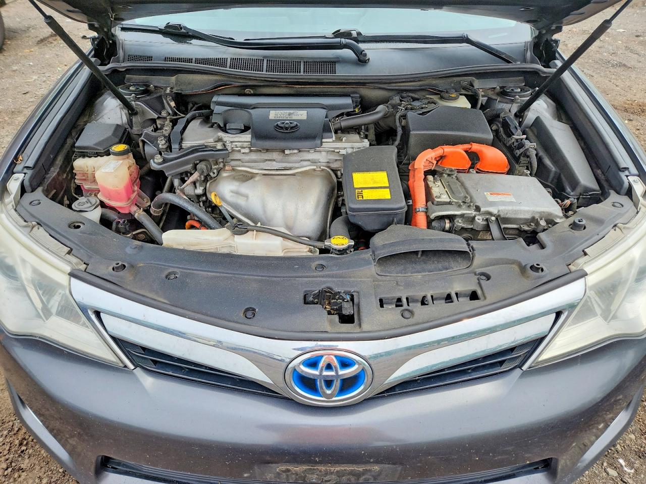 Toyota Camry Xle
