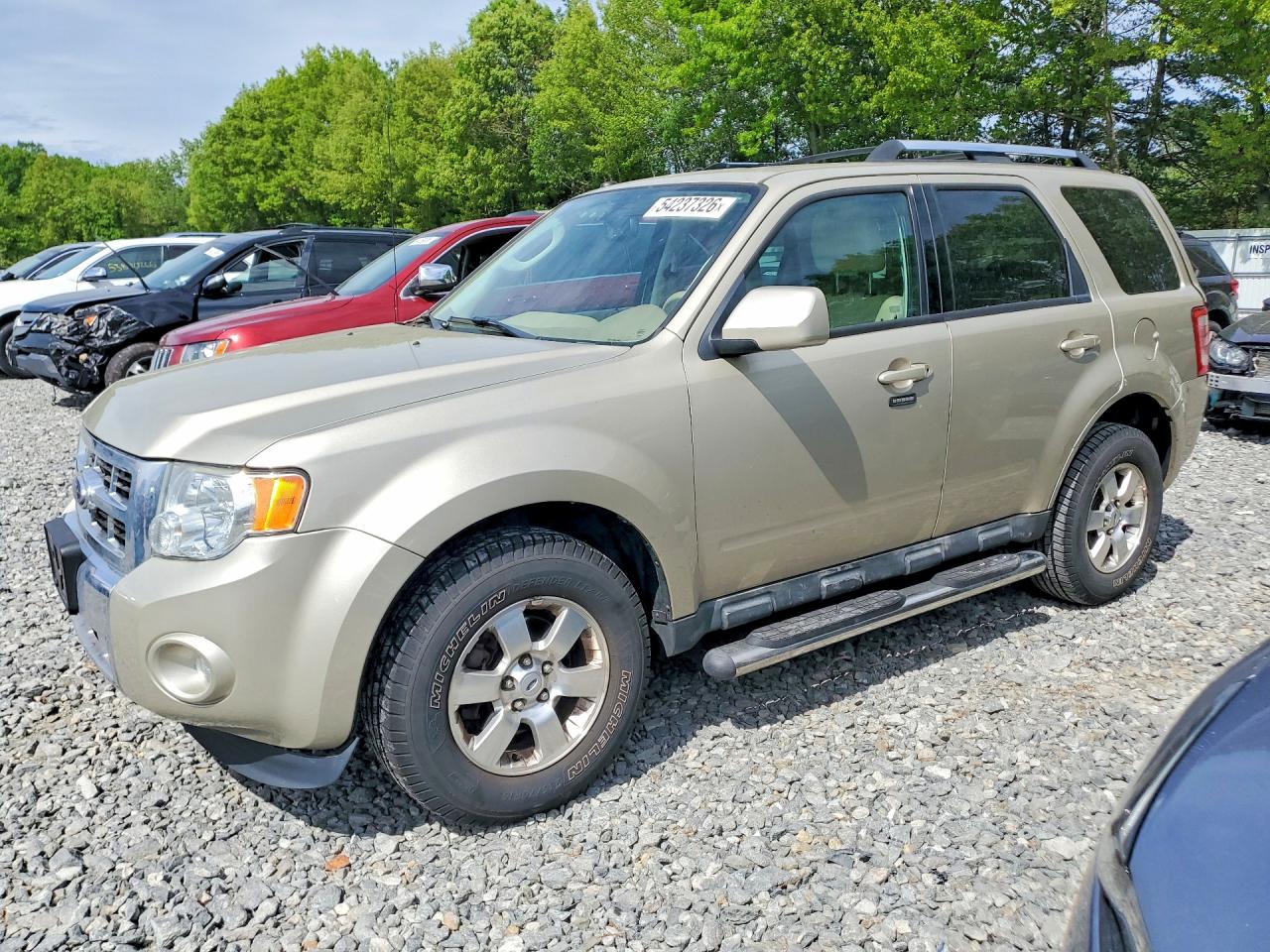 Salvage Ford Escape Image