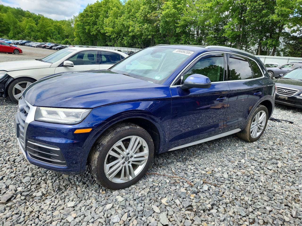 Salvage Audi Q5 Image